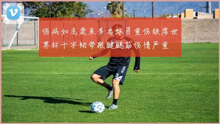 伤病如虎袭来多名球员重伤缺席世界杯十字韧带跟腱腿筋伤情严重