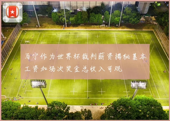 马宁作为世界杯裁判薪资揭秘基本工资加场次奖金总收入可观